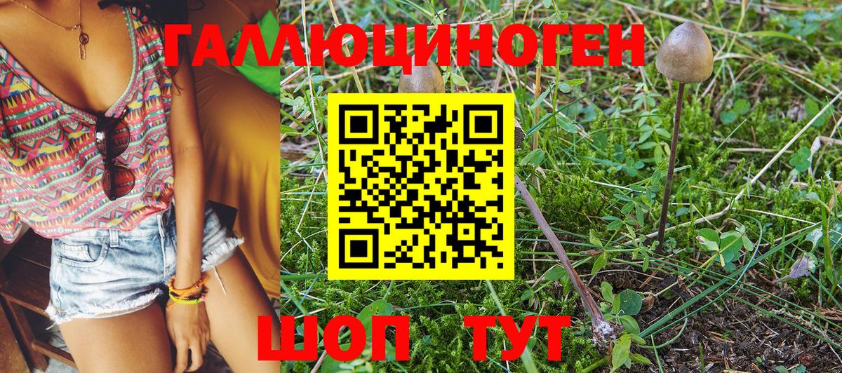 Псилоцибиновые грибы Psilocybine cubensis  Вход с VPN  Подольск 